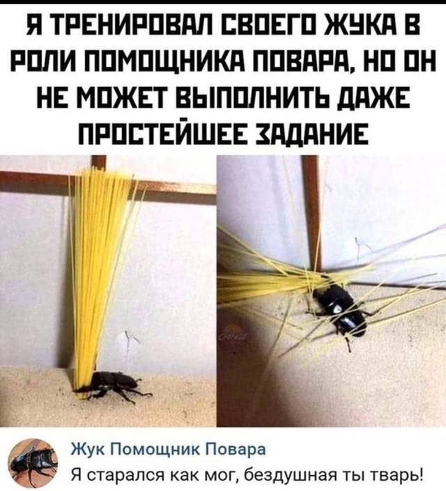 Картинки разные