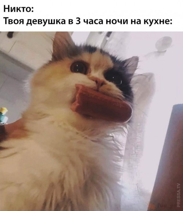 Картинки и мемы для настроения 015