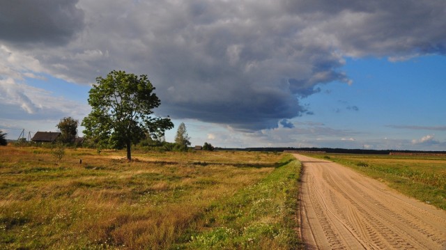 Перед грозой в деревне