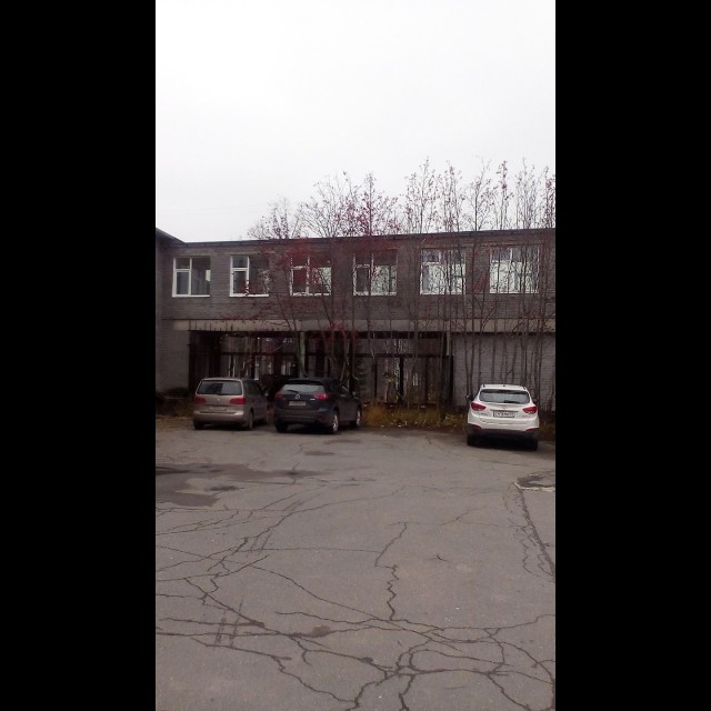 С размахом отметили наступление полярной ночи в кафе "Заполярье " расположенное в далёких Апатитах