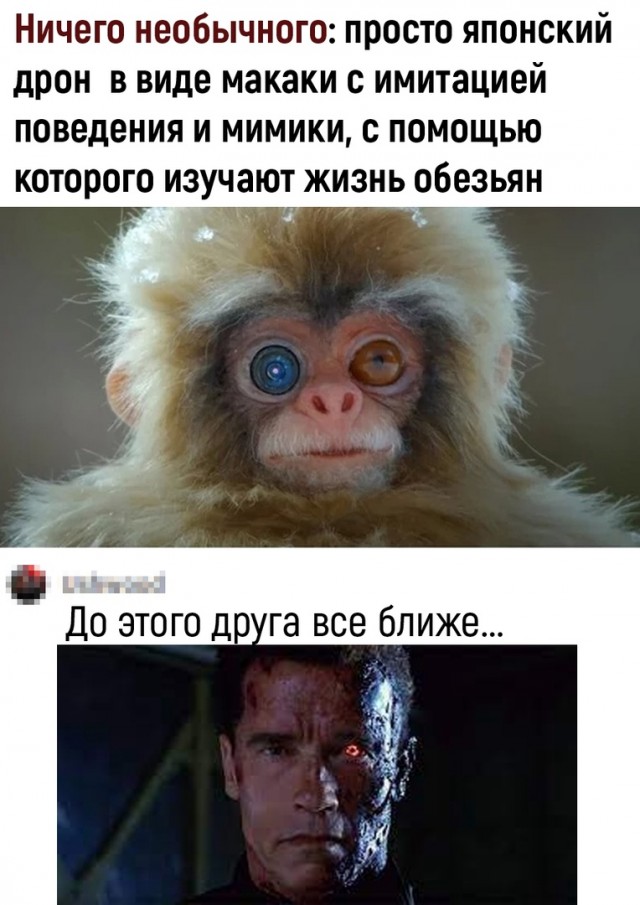 Так себе картинки 23.04.22