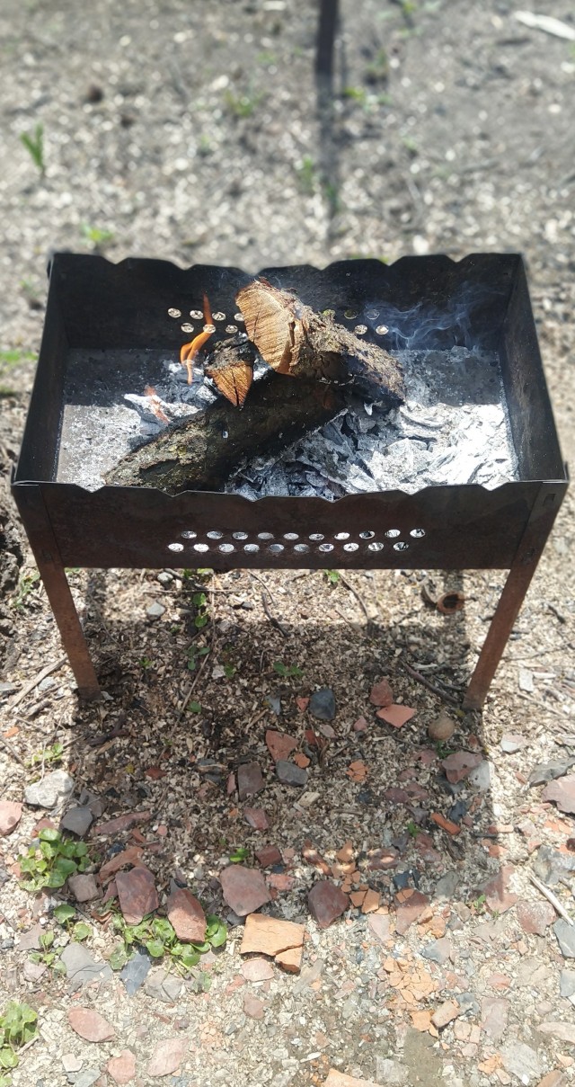 Утро, солнце. С праздником!