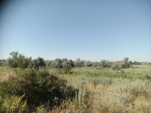 Доброе утро ЯП