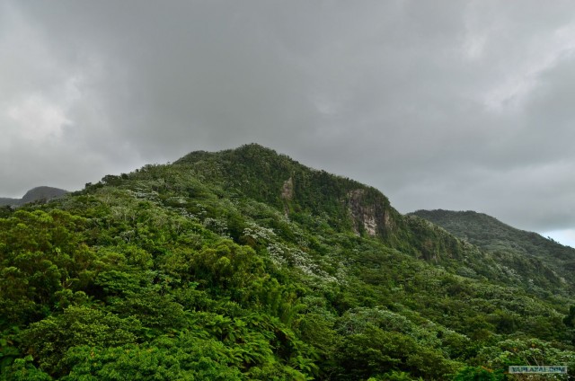 Путешествие по Северной Америке