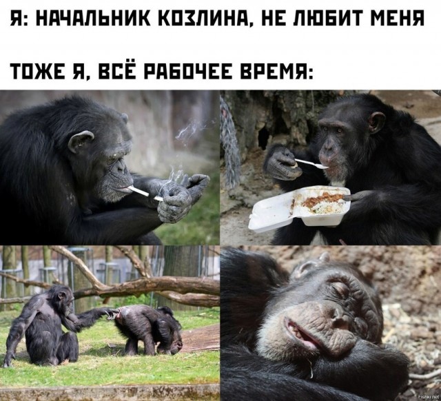 Картинки аморальные и всякие разные - 37