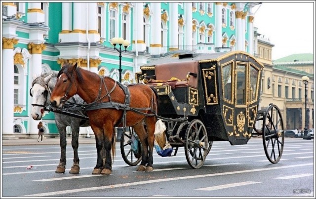 Ещё раз про ремни безопасности