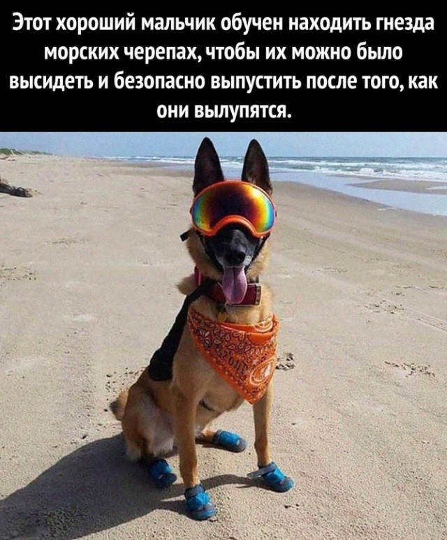 Немного картинок для настроения - 119