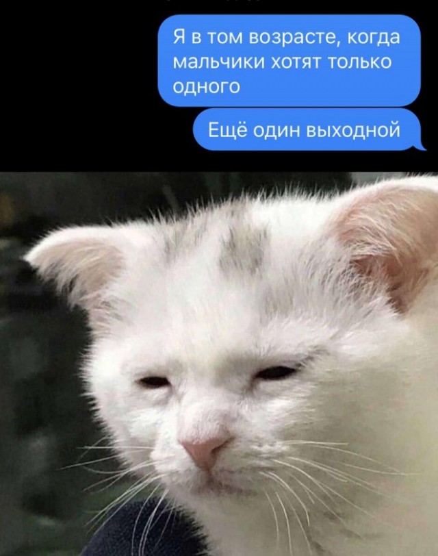 Картинки и мемы для настроения - 23