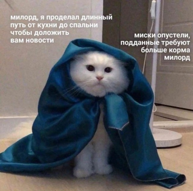 Забавные шутки, фразы, картинки из этих ваших интернетов 01.09.2022