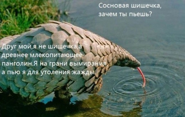 Так себе картинки 01.10.22