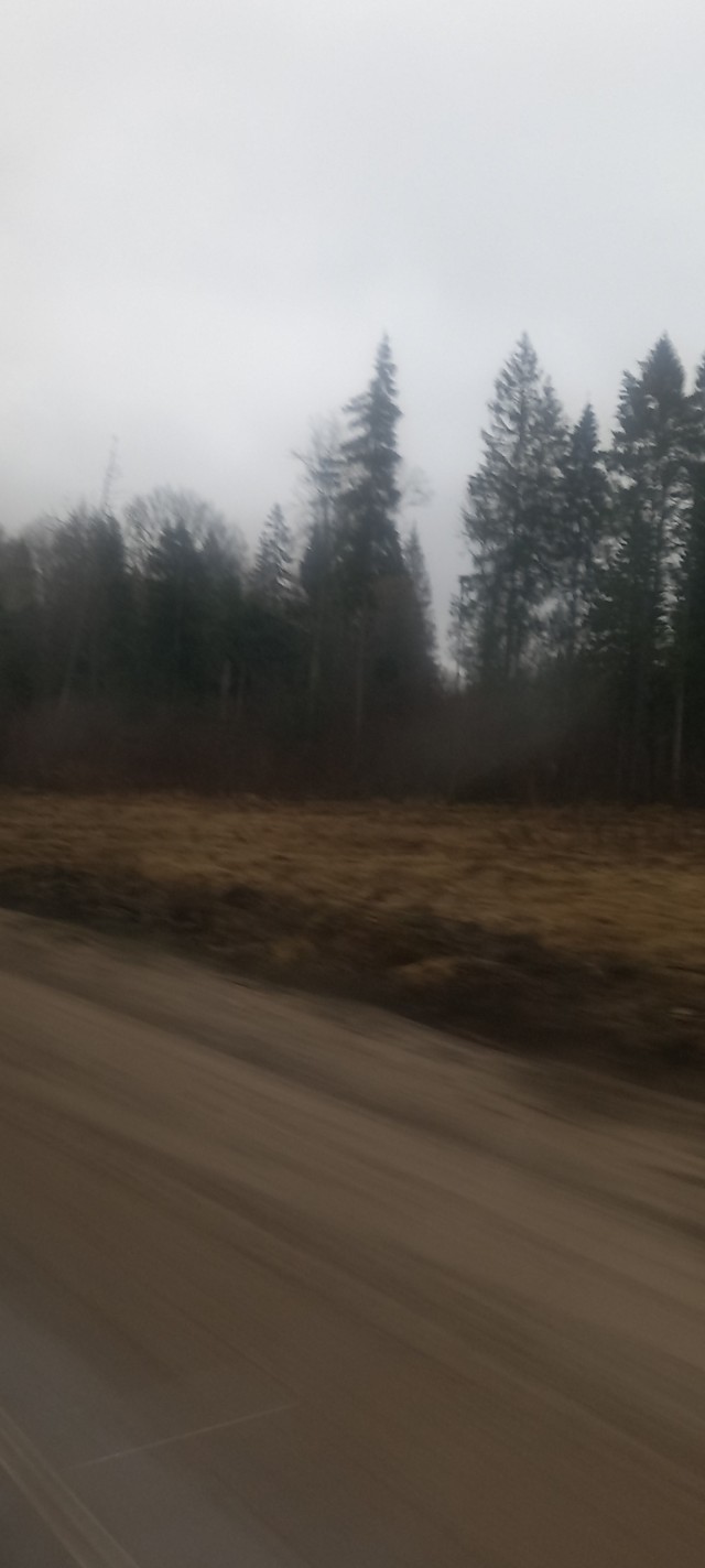 А из нашего окна вот такая красота...