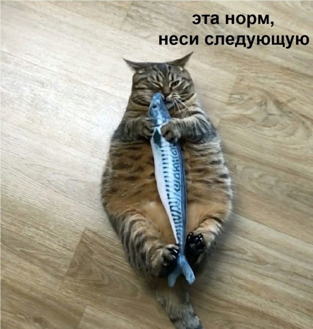 Немного картинок для настроения - 117