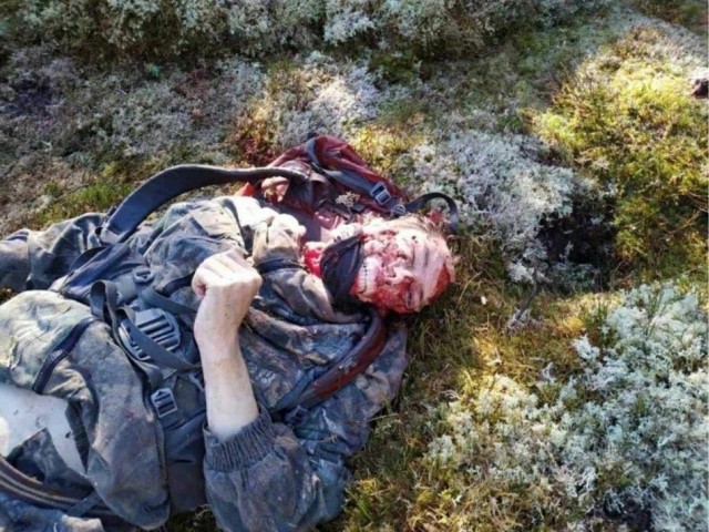 Как не огрести от медведя: 5 основных правил