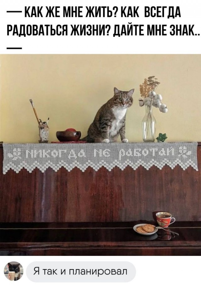 Картинки и мемы для настроения - 167
