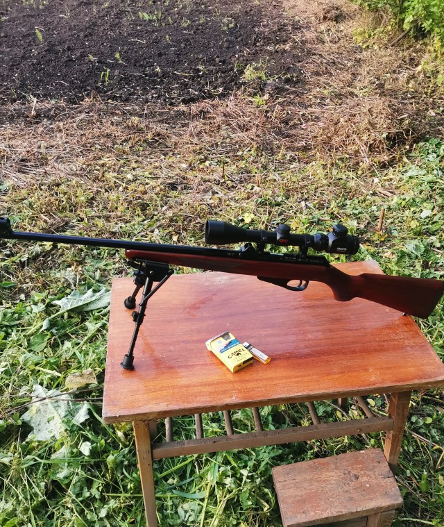 «Легендарная» ТОЗ-8: винтовка, которая первой попадалась в руки советским гражданам