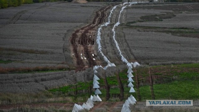Балицкий сообщил об обострении ситуации в Запорожской области