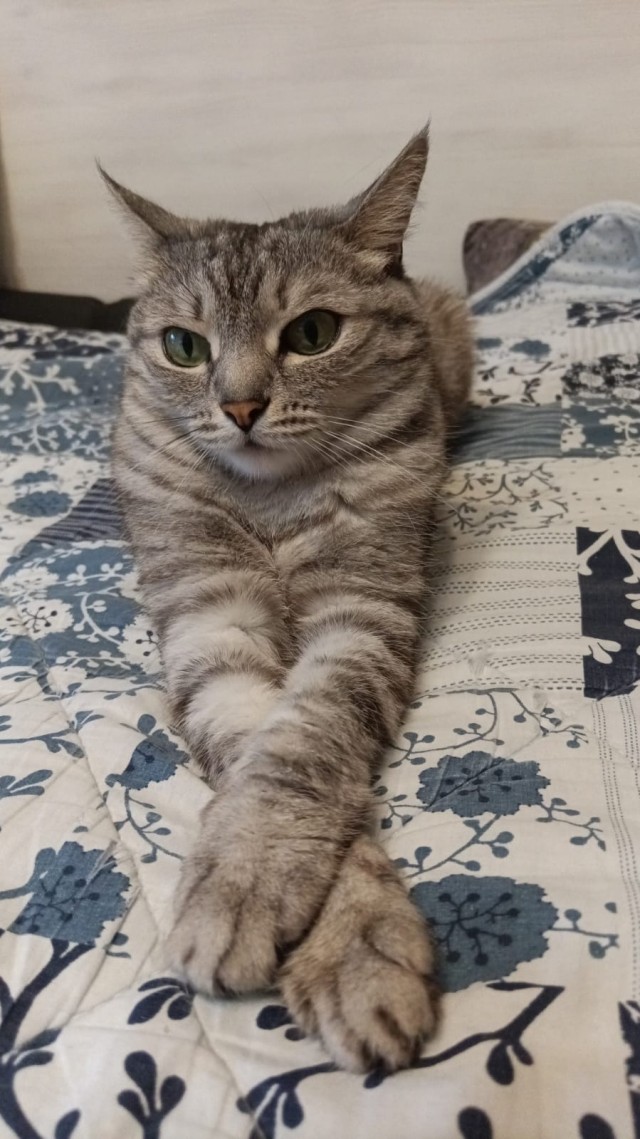 Сборник рассказов ЯПовских авторов. Обсуждение проблемы.