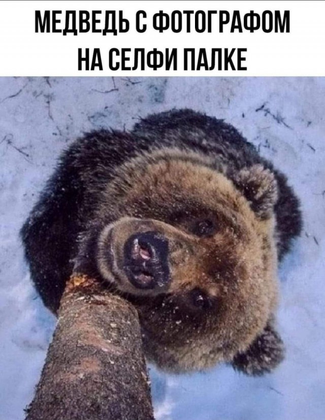 LOLтиночки