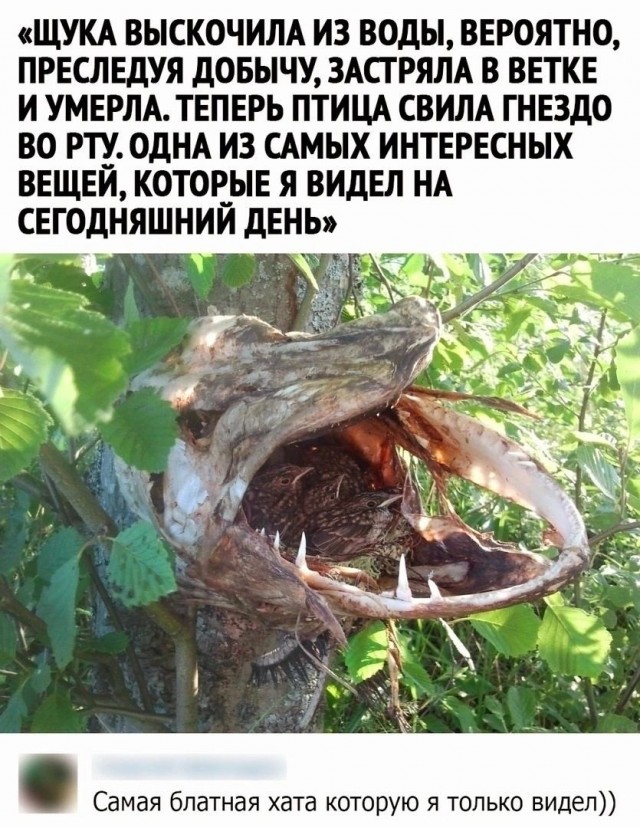 Завалялось тут случайно немного забавных картинок