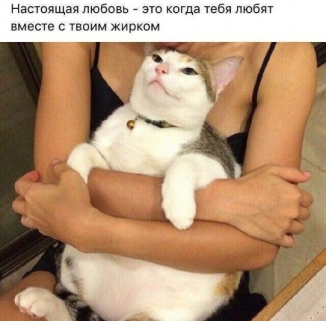 Так себе картинки 03.12.24