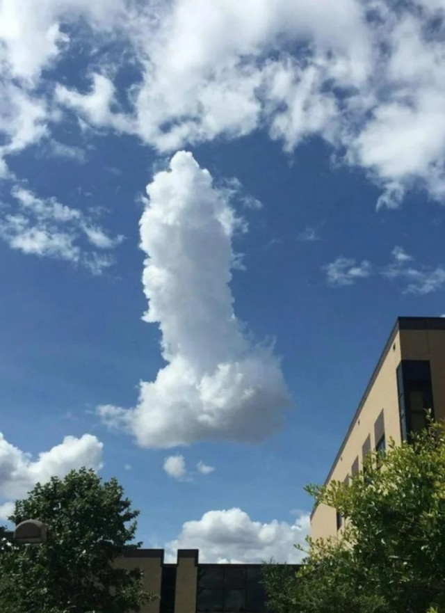 У меня гусь по небу ходит