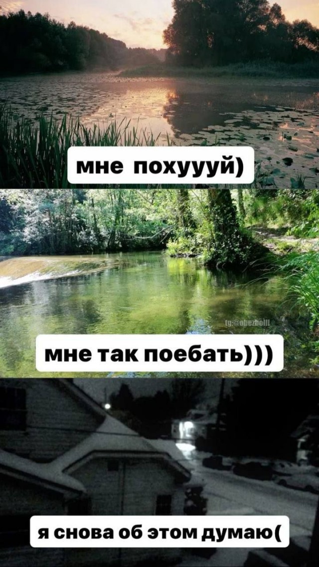 Продолжал терпеливо сохранять мемы