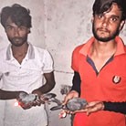 Вторжение инопланетян. Сатурну больше не наливать.