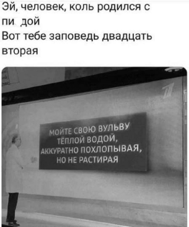 Так себе картинки 29.12.25