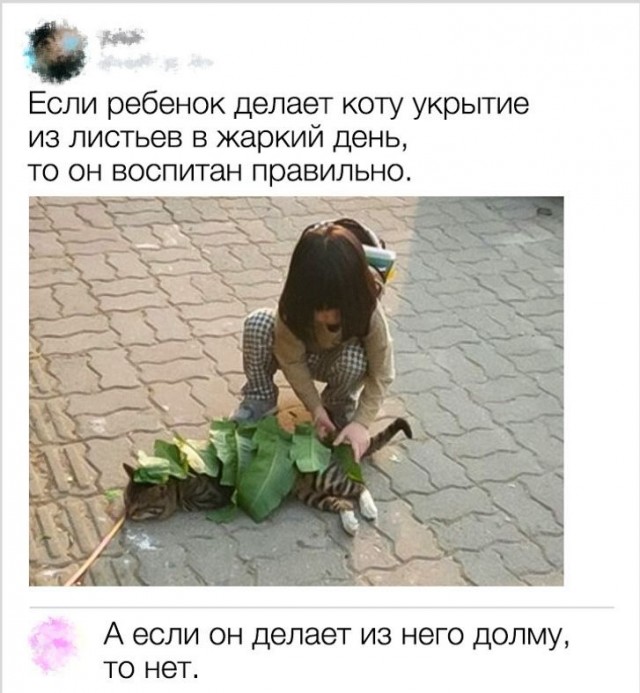 Субботние картинки