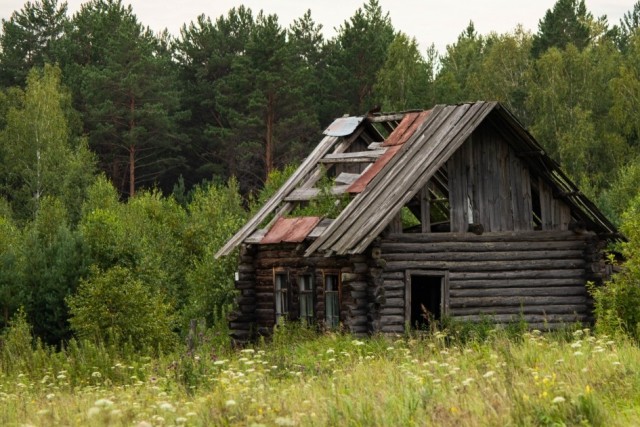 Таежная история