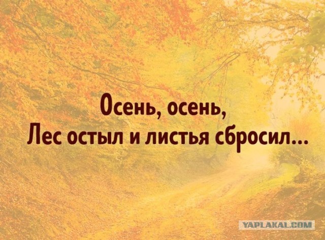 Леди атаковала машины на Литейном проспекте, пока переходила дорогу