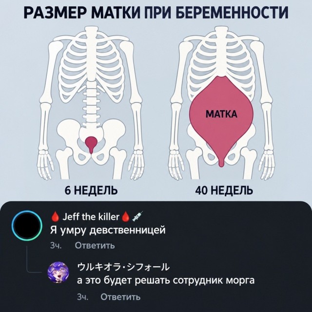 Так себе картинки 22.10.26