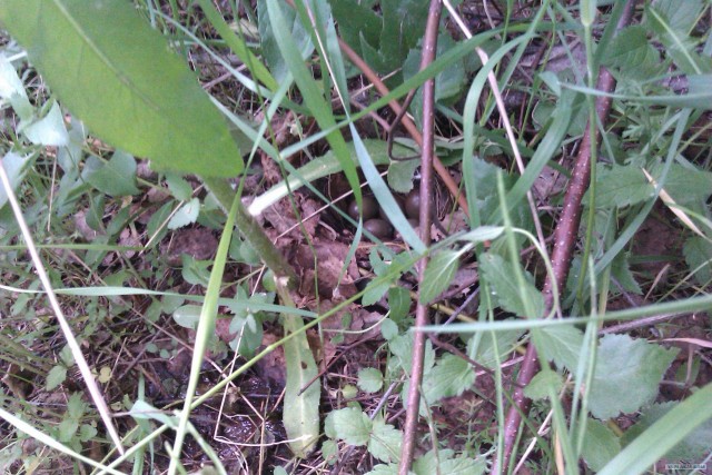 Просто выходные...