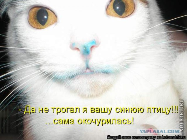 Всем зеленки!