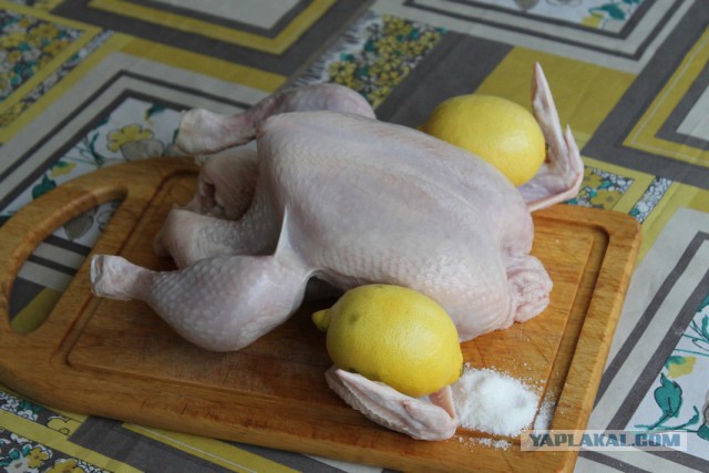 Цыпа Дрипа Лямпампони