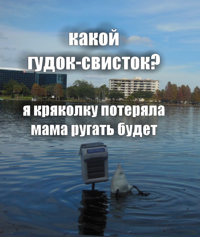 Деревенская Америка