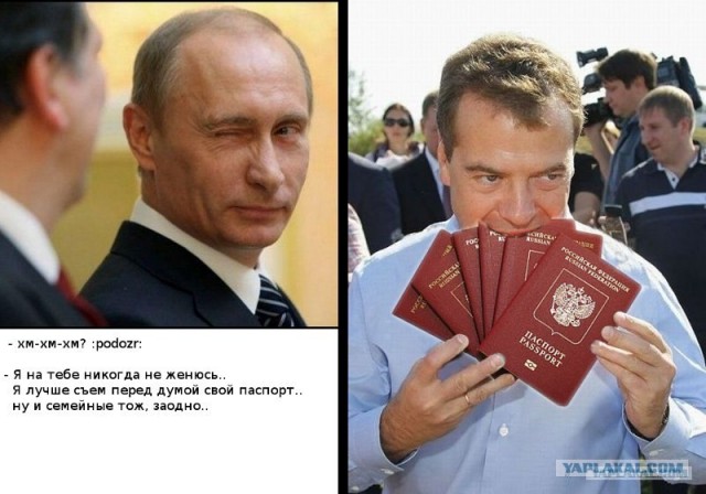 Медведев сходил за продуктами
