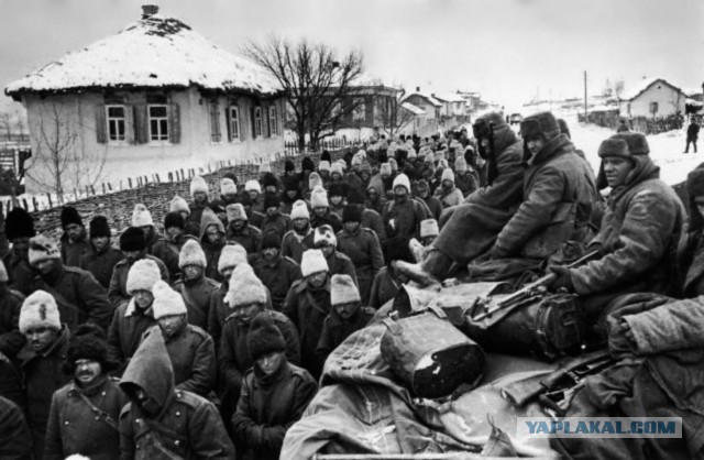 Самые трогательные фотографии войны