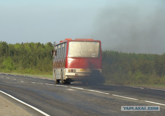 За что душат Фольксваген?