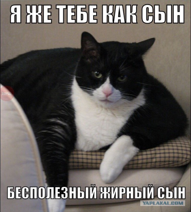 Картинки на пятницу