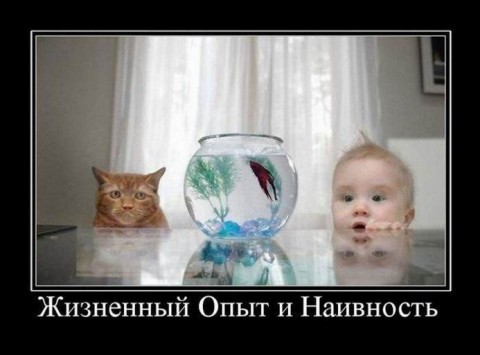 Ужасы моего воспитания