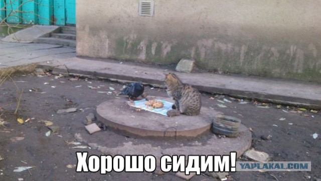 Ужасы и приколы из соцсетей 18+