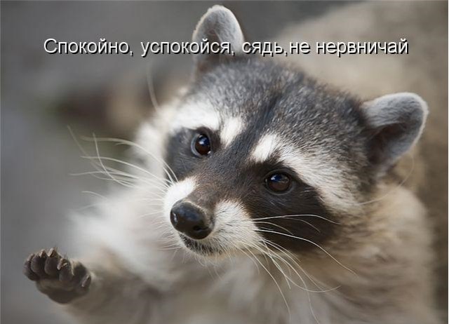 Пишите числительные правильно