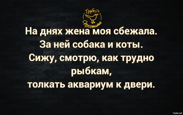 Смешные комментарии и высказывания из социальных сетей.