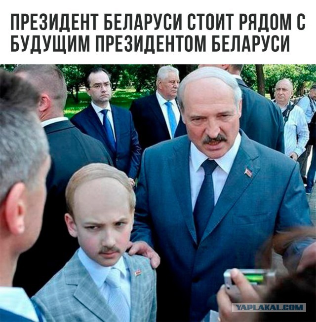 Забавные комментарии, шутки и фразы из этих ваших интернетов