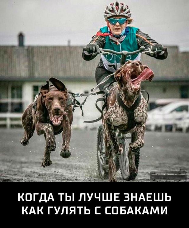 Просто картинки