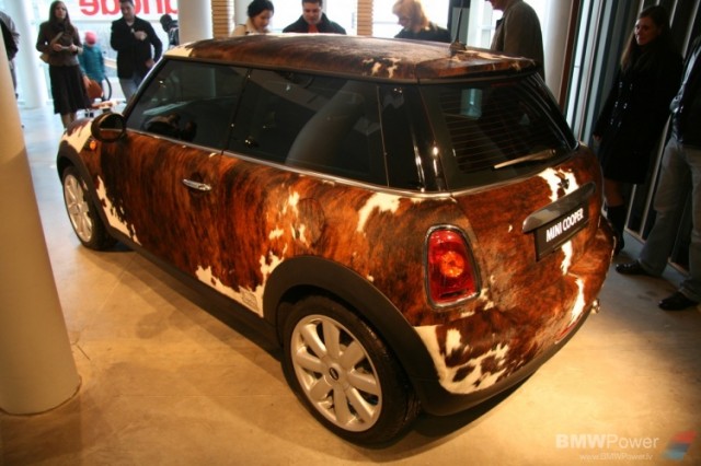 Mini Cooper The Pet