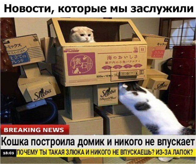 Нестандартный юмор
