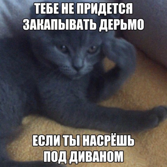 Глазки от работы отрывайте, на картинки повтыкайте!