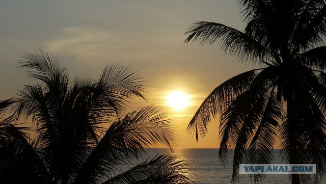 А вы в этом году уже отдыхали на море?